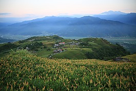 臺(tái)灣,小瑞士,花