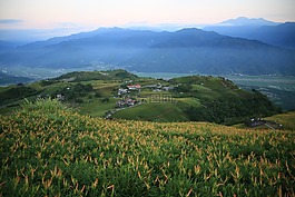臺(tái)灣,小瑞士,花