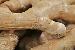 姜,块根,健康