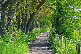 景區(qū),路線,方式