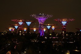 新加坡,樹,天空