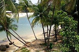 熱帶,海灘,灣