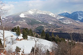 heniu,bargau,盒