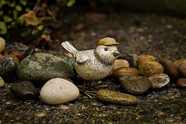 鳥(niǎo),花園,設(shè)計(jì)