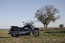 摩托車,鈴木,自行車