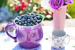 藍莓,夏天,水果