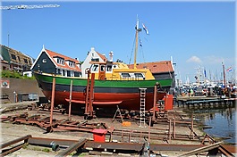荷蘭,urk,魚