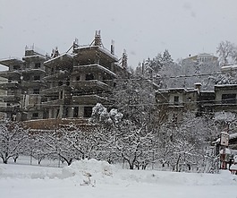 暴雪,雪,風暴