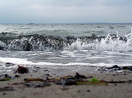 波罗的海,pelzerhaken,德国