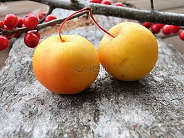 点缀,苹果,圣诞节