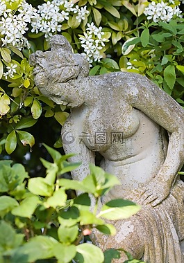狀態(tài),女子,夫人