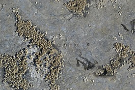 砂,波紋,海