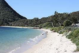 山,海洋,海