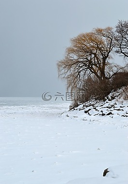 冬季岸,冰,雪