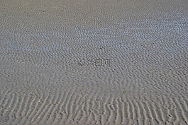 砂,波紋,海