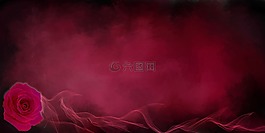 玫瑰,愛情,情人節(jié)