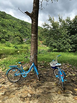 自行车,旅行,放松