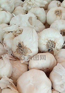 大蒜,香料,蔬菜