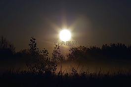 日出,光線,太陽