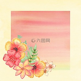 背景,花的,剪貼簿