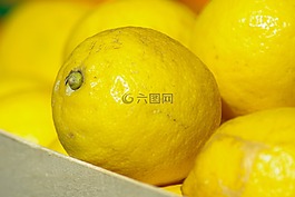 檸檬,柑橘,維生素