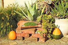 herbstdeko,德卡,秋季装修