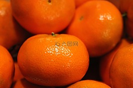桔子,水果,柑橘