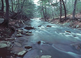 溪,荒野,水