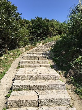 標(biāo)記,山,樹