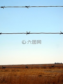 帶刺鐵絲網(wǎng),電線,籬笆