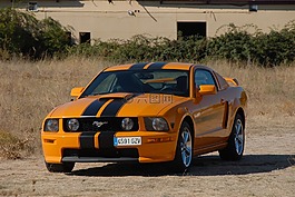 汽車,野馬,車輛