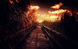 夜,路徑,戶外