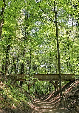 oermter山,volkspark,動物的外殼