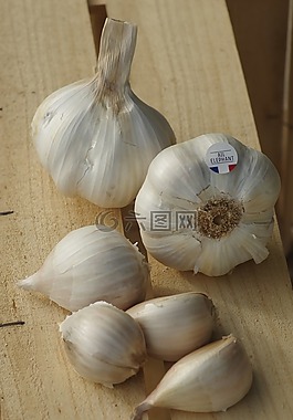 大蒜,大蒜頭大象,大蒜種植