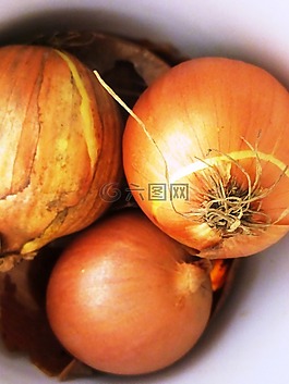 洋蔥,蔬菜,殼