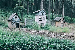 大自然,首頁,景觀