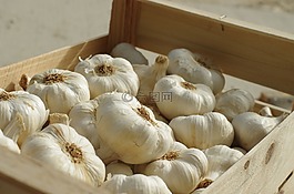 大蒜,食品,蔬菜