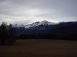 冬天,山,寒冬