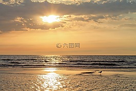 北海,日落,金