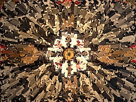 拉伸,花,multicour