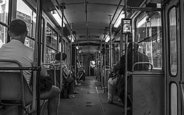 電車,貝爾格萊德,人