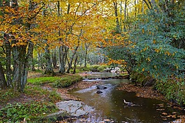 景觀,和平,風(fēng)景