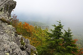 景觀,和平,風(fēng)景