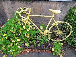 自行車,黃色,老