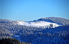 黑色的森林,滑雪运行,冬季森林