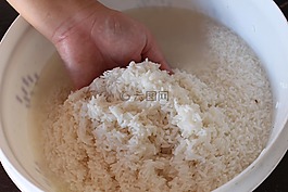 水稻,水洗碗米飯,????