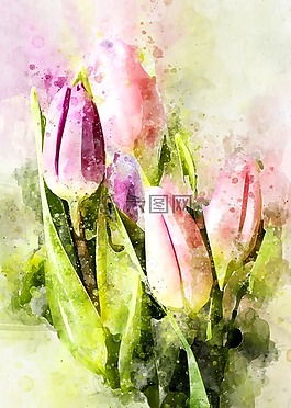 郁金香,鮮花,郁金香花束