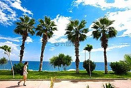 夏天,太陽能,假日