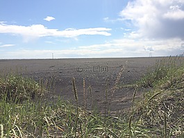 黑砂,冰島,自然