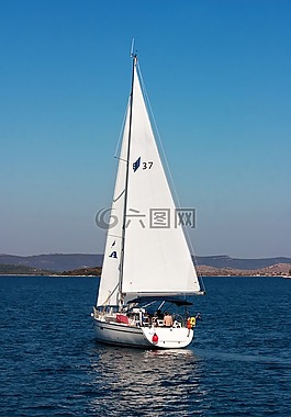 游艇,船,海